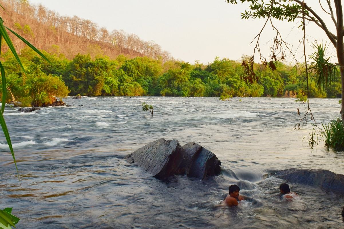 moulangi echo park in dandeli resorts