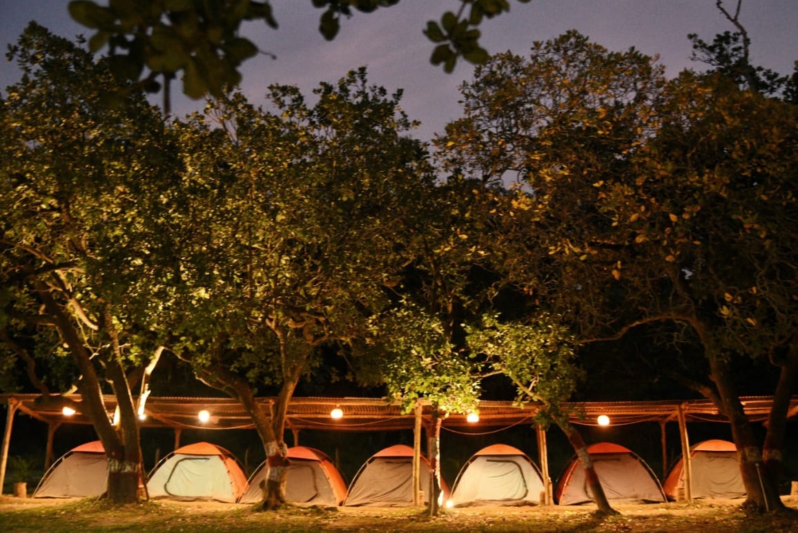 House Stay in Greenwoods jungle camp Dandeli