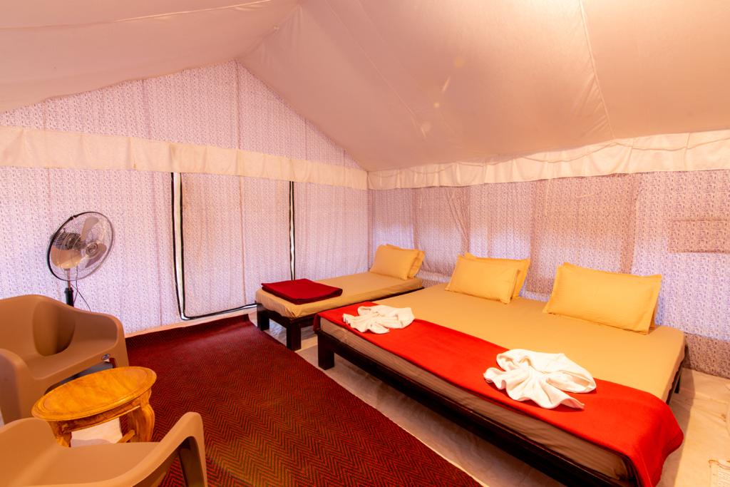 stay in dew drop jungle resort dandeli