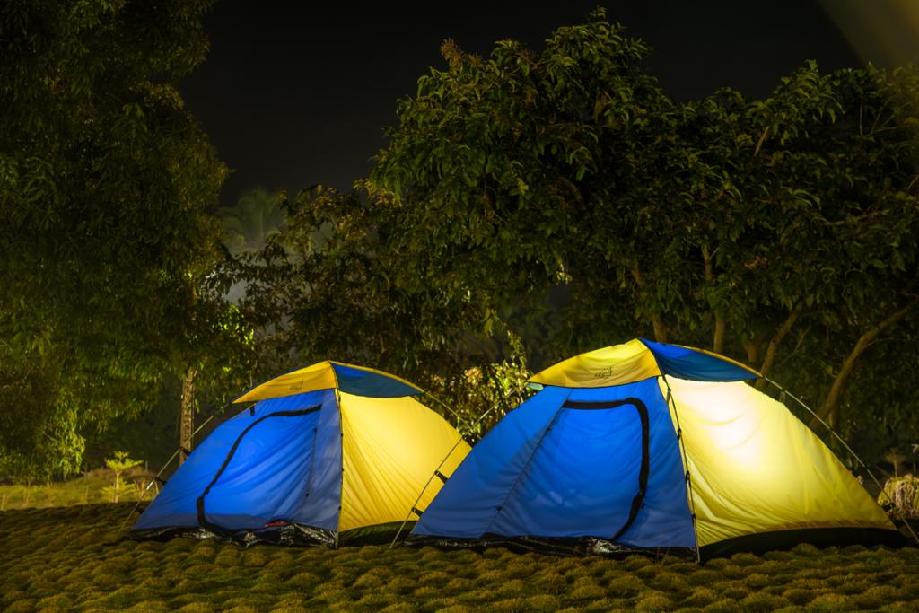 stay in dew drop jungle resort dandeli