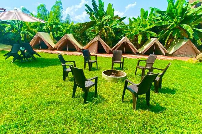 stay in dew drop jungle resort dandeli